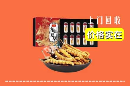 海口市秀英回收冬虫夏草