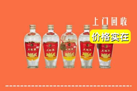 诚信求购:海口市秀英高价回收老五粮液